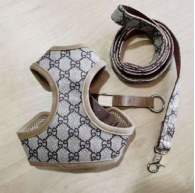 G Logo Dog Harness with Leash / S